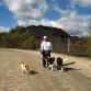 Paseando con papá (II)